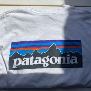 Patagonia Men’s Tee